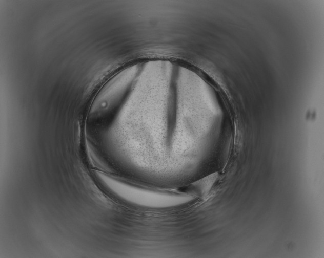 X0000088900109200707061503