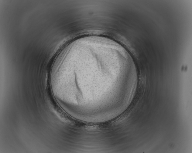 X0000088900110200707061503