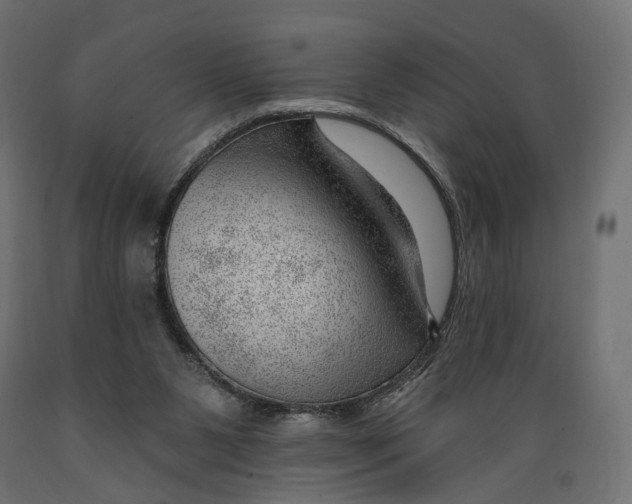 X0000088900111200707061503