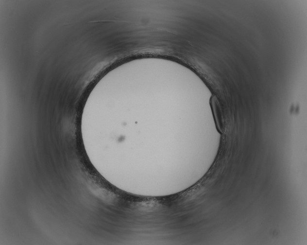 X0000088900112200707061503