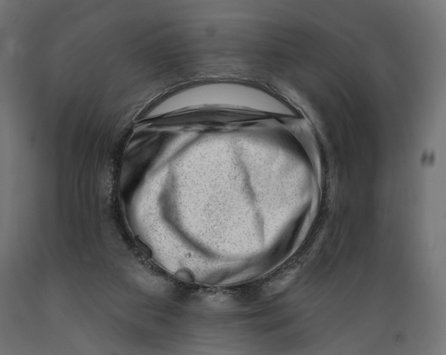 X0000088900113200707061503