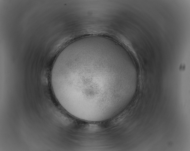 X0000088900114200707061503