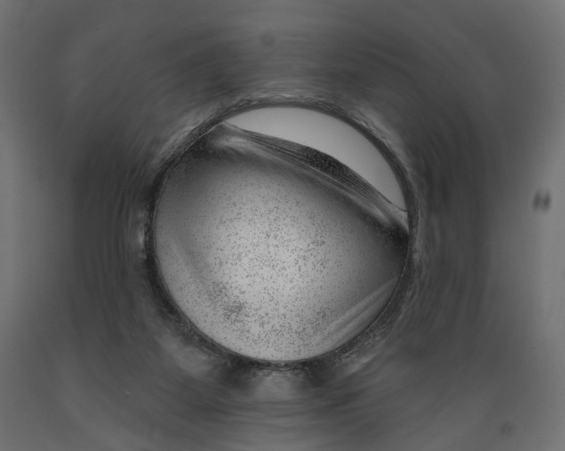 X0000088900115200707061503