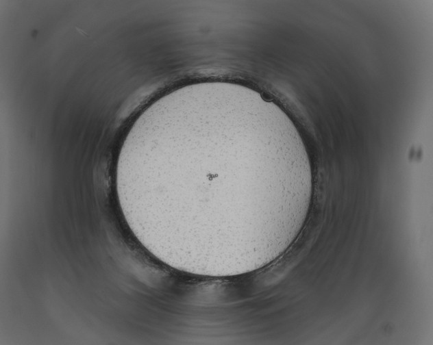 X0000088900116200707061503