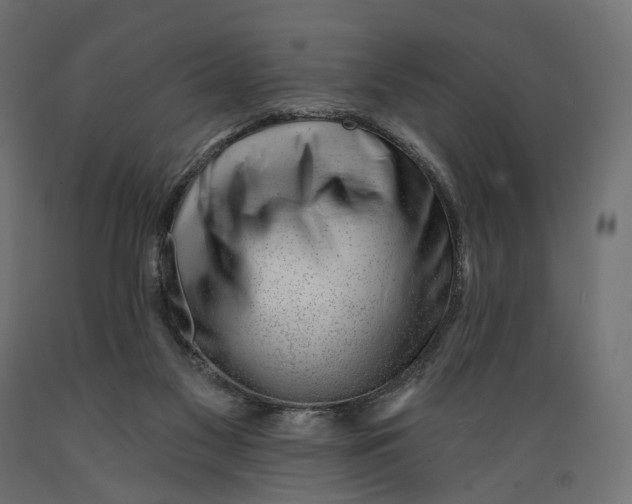 X0000088900117200707061503