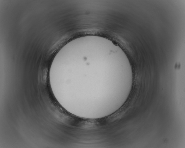 X0000088900118200707061503