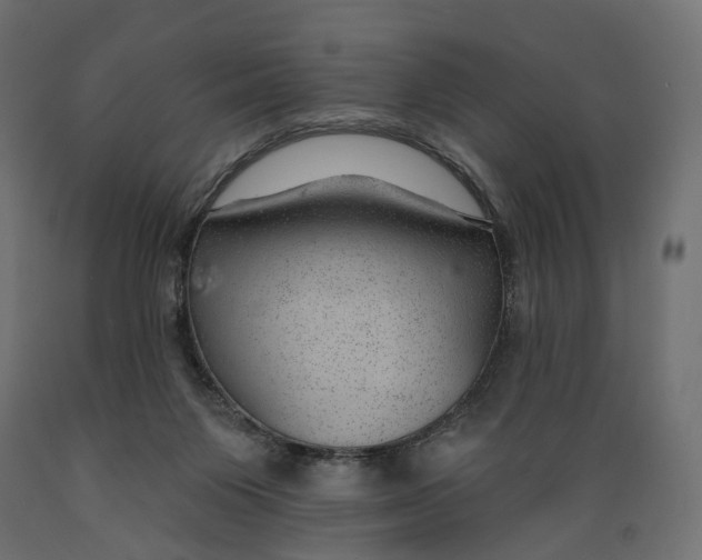 X0000088900119200707061503