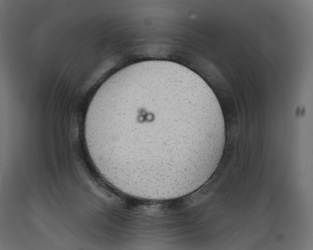 X0000088900120200707061503