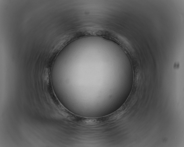 X0000088900121200707061503