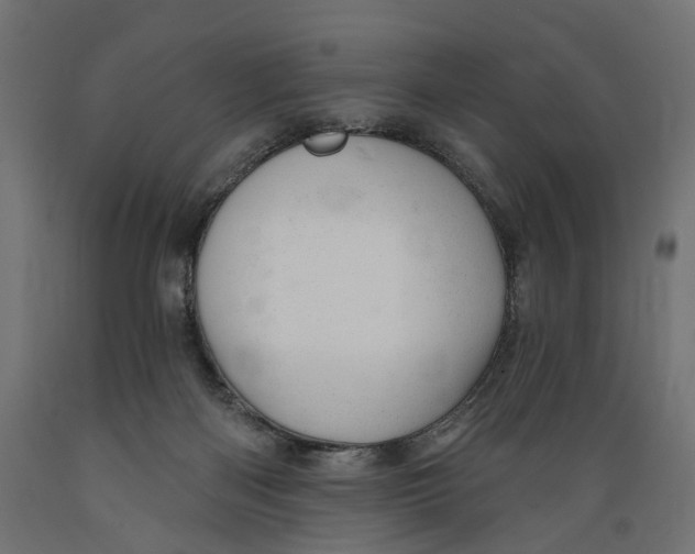 X0000088900122200707061503