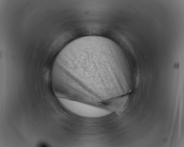 X0000088900123200707061503