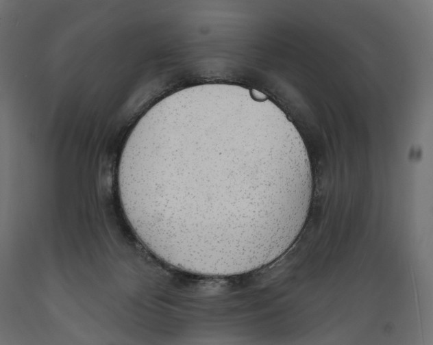 X0000088900124200707061503