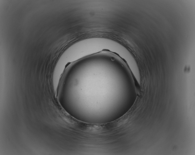 X0000088900125200707061503