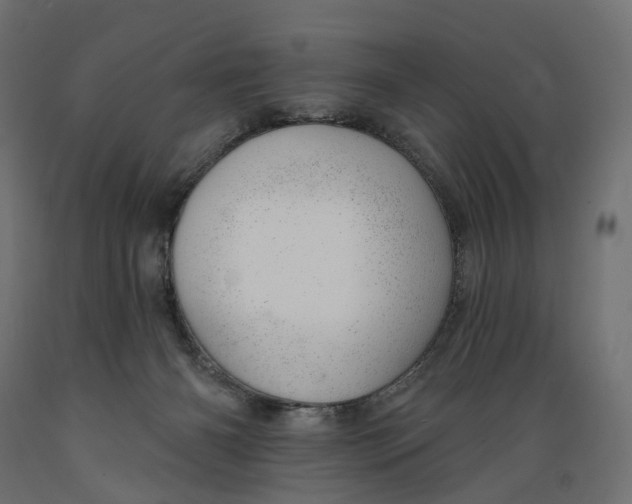 X0000088900126200707061503