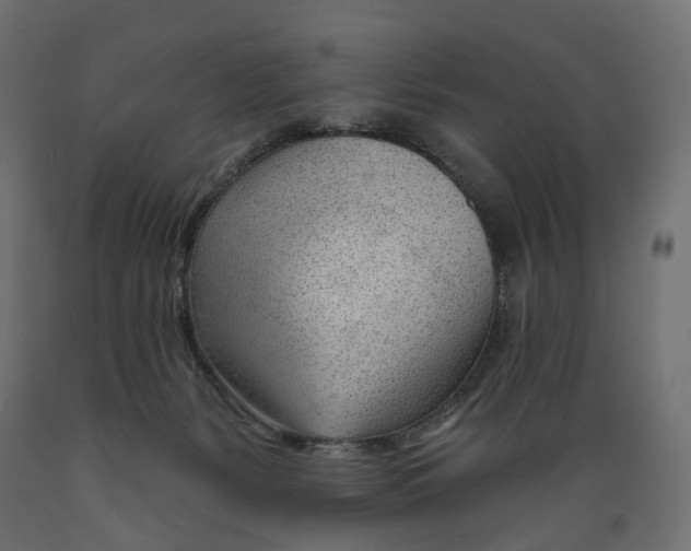 X0000088900127200707061503