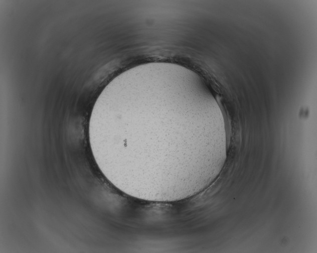 X0000088900128200707061503