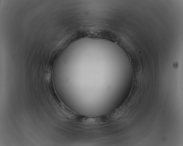 X0000088900129200707061503