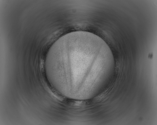 X0000088900130200707061503