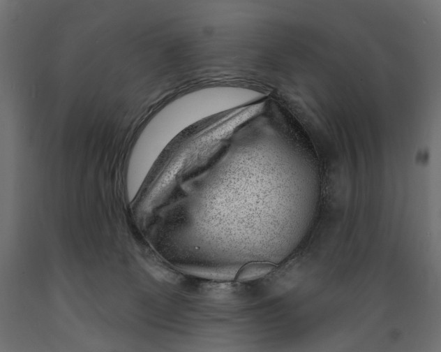 X0000088900131200707061503