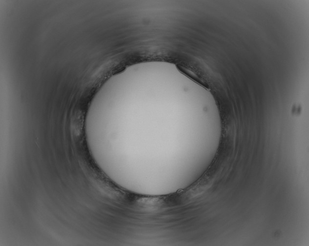 X0000088900133200707061503