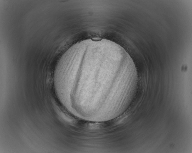 X0000088900134200707061503