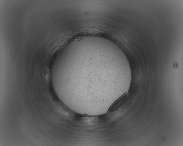 X0000088900135200707061503