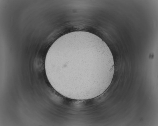 X0000088900136200707061503