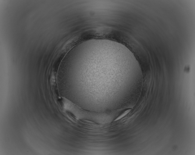 X0000088900137200707061503