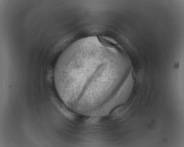 X0000088900138200707061503