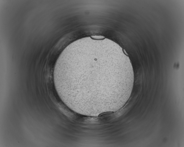 X0000088900140200707061503