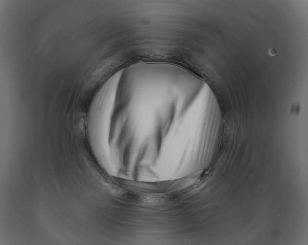 X0000088900141200707061503