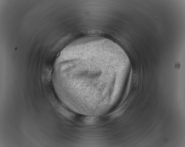 X0000088900142200707061503