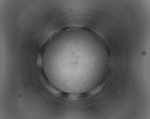 X0000088900143200707061503