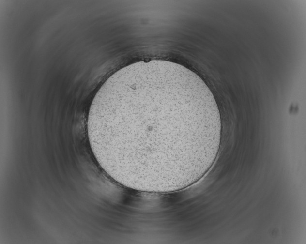 X0000088900144200707061503