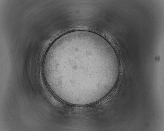 X0000088900145200707061502