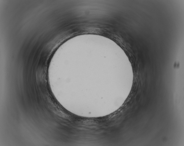 X0000088900146200707061502