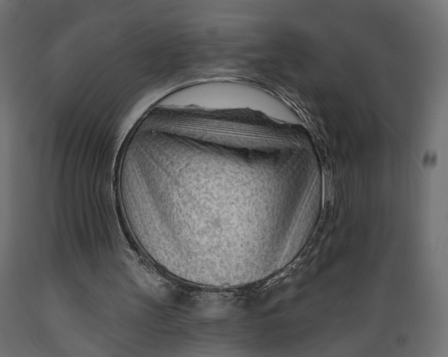 X0000088900147200707061502