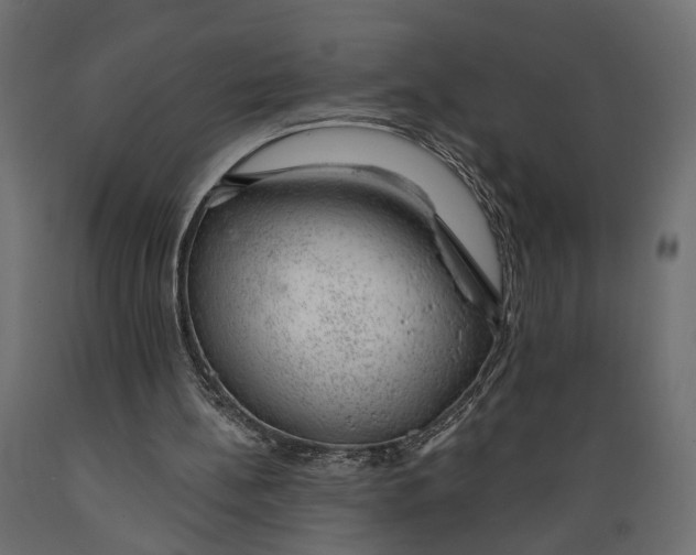 X0000088900148200707061502