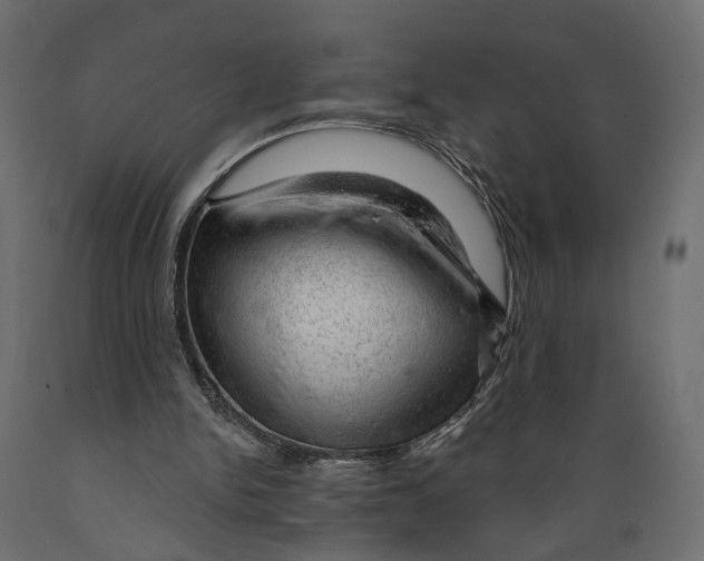 X0000088900150200707061502