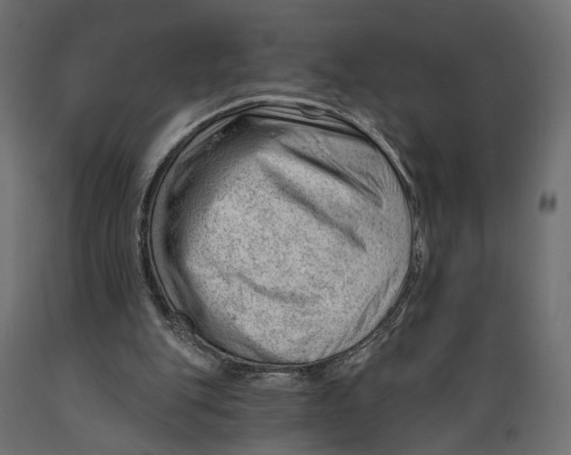 X0000088900151200707061502