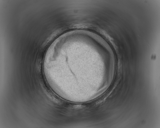 X0000088900153200707061502