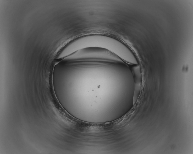 X0000088900154200707061502