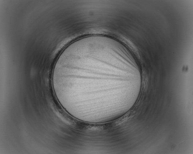 X0000088900155200707061502