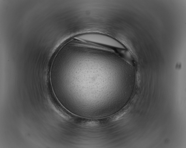 X0000088900156200707061502