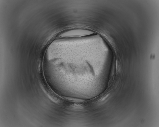 X0000088900157200707061502