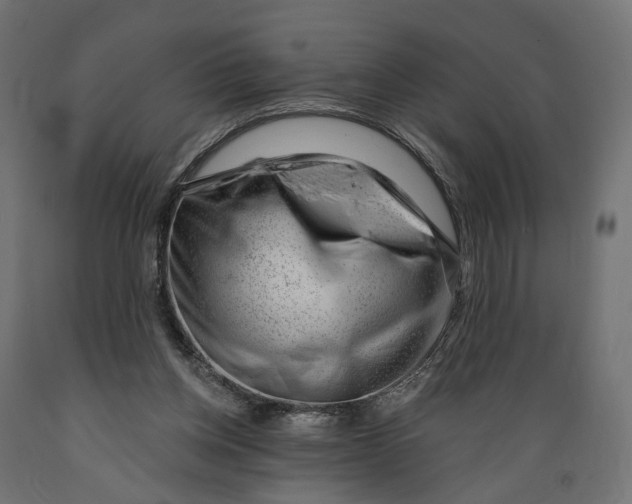 X0000088900158200707061502