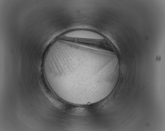 X0000088900159200707061502