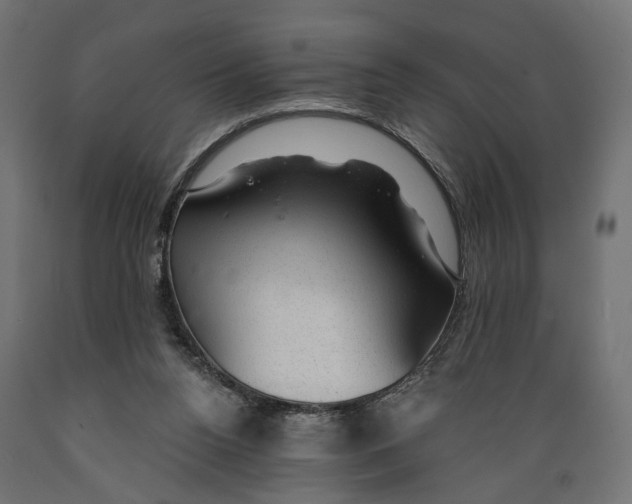 X0000088900160200707061502