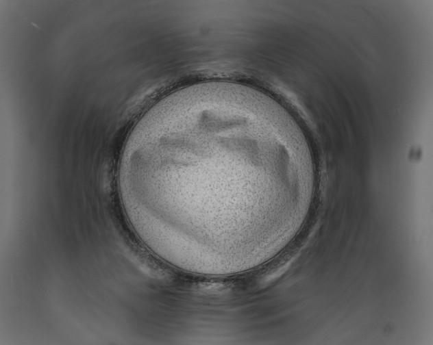 X0000088900161200707061502