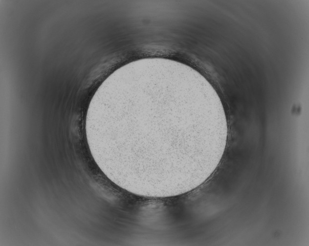 X0000088900162200707061502